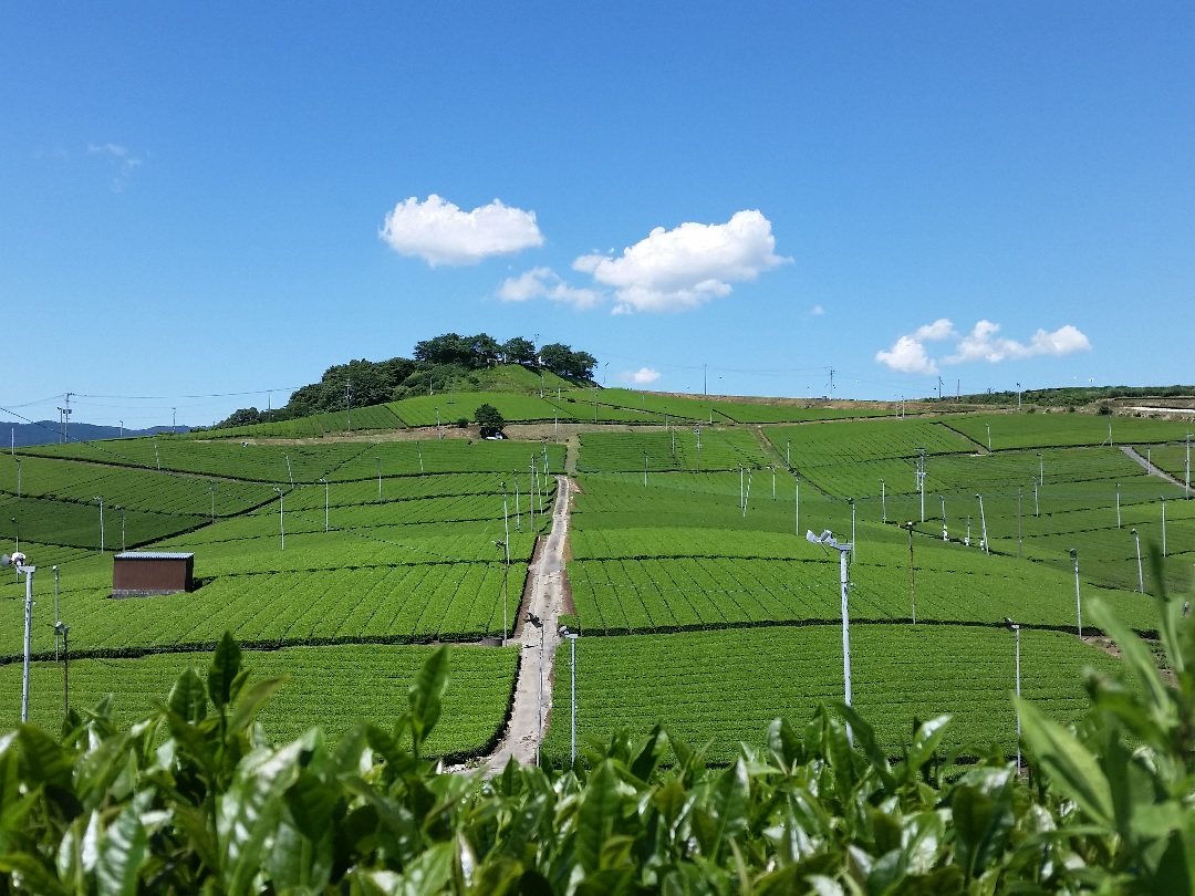 NASA原宇航员前往日本八女市参观酿酒