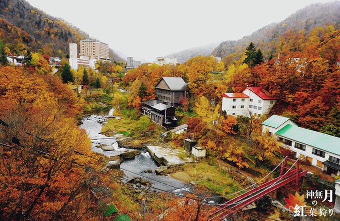 日本绝美秘境在哪？北海道小众旅行道东道央篇