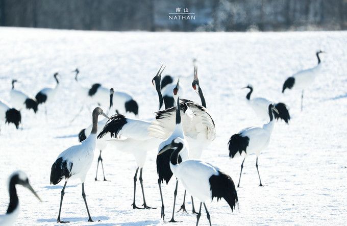 日本绝美秘境在哪？北海道小众旅行道东道央篇