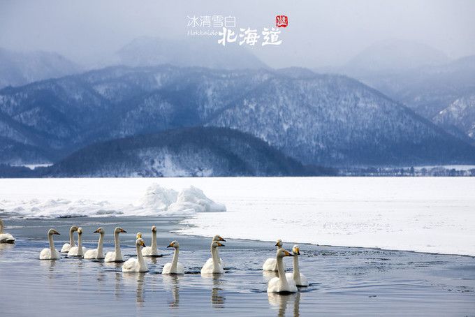 日本绝美秘境在哪？北海道小众旅行道东道央篇