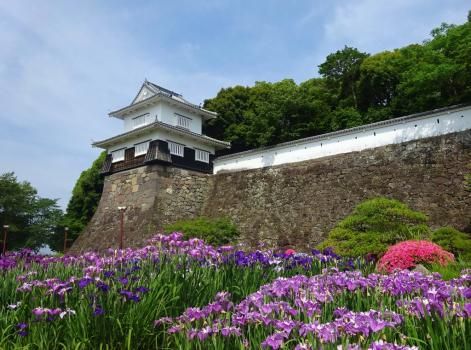 长崎县大村公园，晚春初夏的“花之城” 