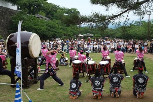 参加菖蒲花祭 畅游菖蒲花海