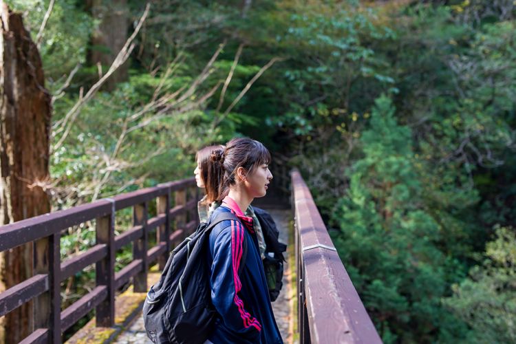 九州游记：鹿儿岛县屋久岛