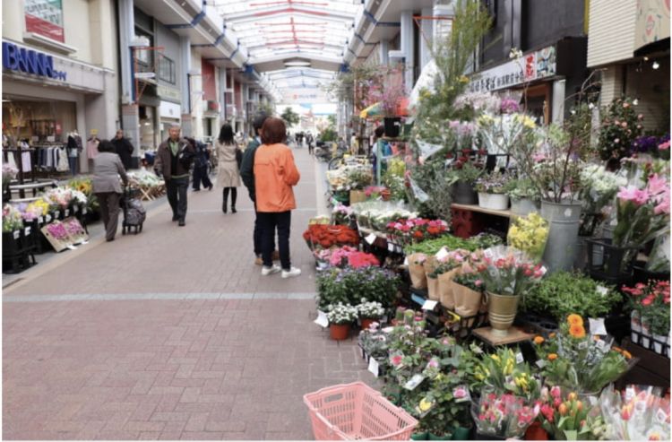 北海道新泻市：望河畔柳木伊人，惜过往繁华犹存