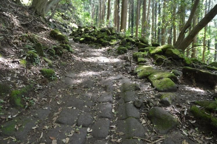 游访千叶县锯山的“地狱窥视”“拉普达之墙”，尽情享受金谷美景