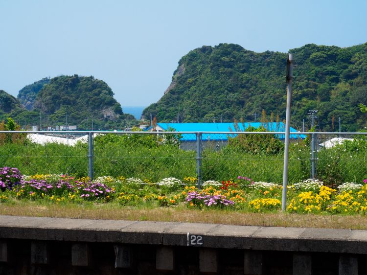 《能看见海的车站》鹿儿岛篇：龙水站、宮浜站、牛浜站、薩摩高城站