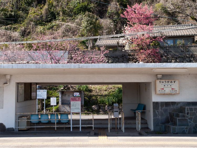 《能看见海的车站》鹿儿岛篇：龙水站、宮浜站、牛浜站、薩摩高城站