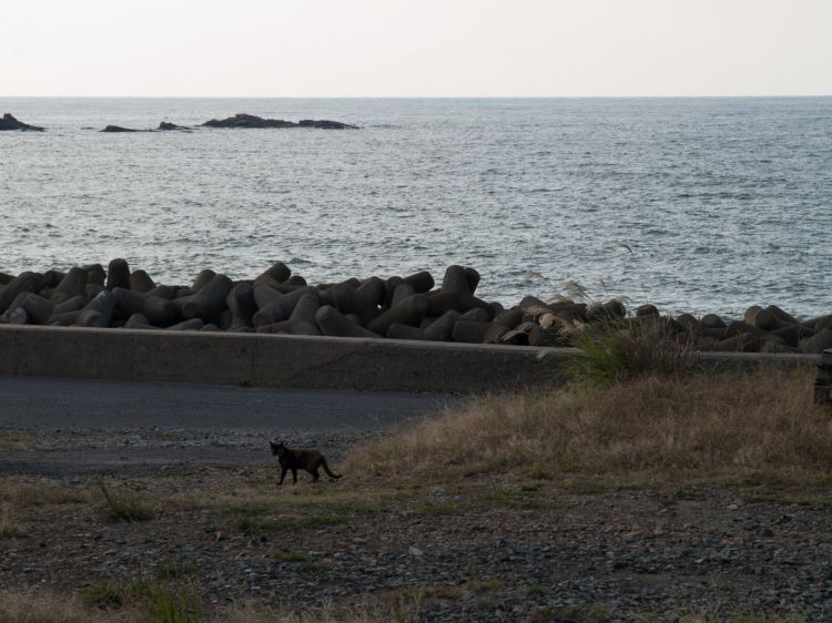 《能看见海的车站》岛根篇：田义站、马路站、折居站