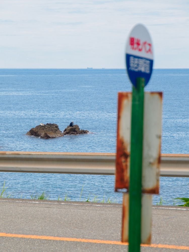 《能看见海的车站》和歌山篇：和歌山港站、汤川站、那智站、和深站、见老津站