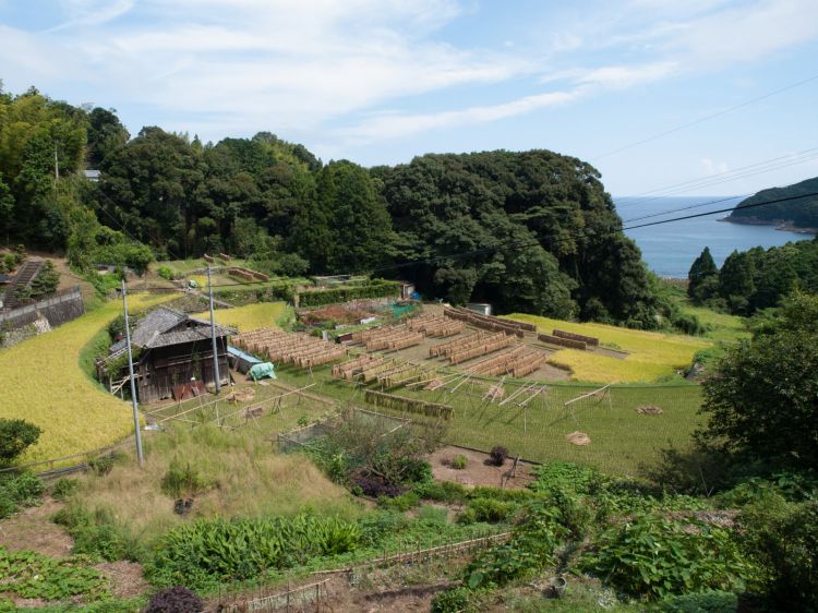 《能看见海的车站》三重篇：波田须站、二木岛站、三木里站......