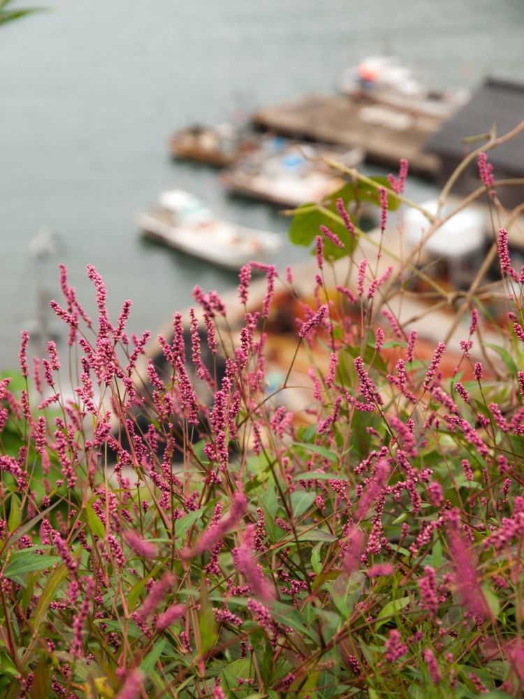 《能看见海的车站》兵库篇：铠站、余部站、东垂水站......