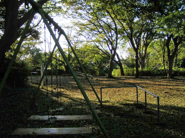 《能看见海的车站》神奈川篇：镰仓高校前站、目白山下站、根府川站、....