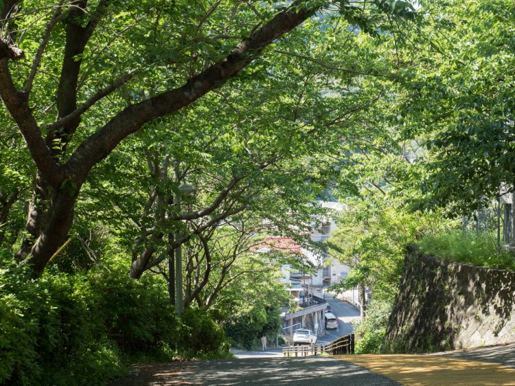 《能看见海的车站》静冈篇：伊豆北川站、片濑白田站、伊豆热川站......