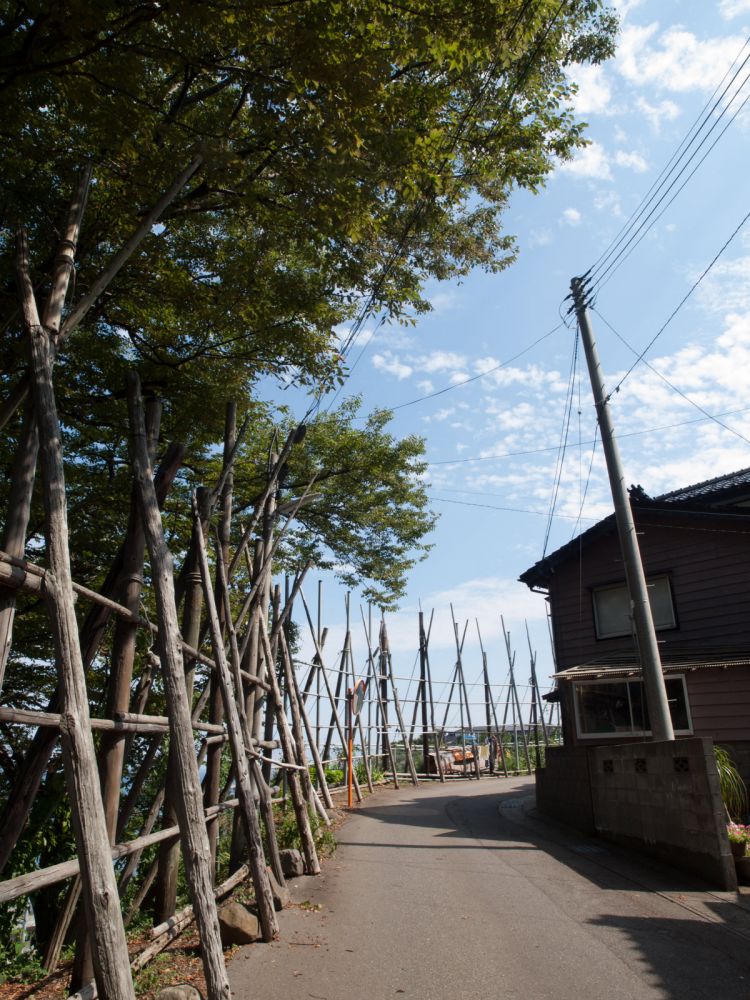 《能看见海的车站》新泻篇：青海川站、有间川站、米山站......