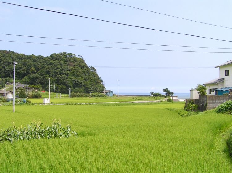 《能看见海的车站》福岛篇：末续站、龙田站、木户站