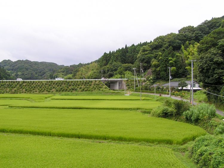 《能看见海的车站》福岛篇：末续站、龙田站、木户站