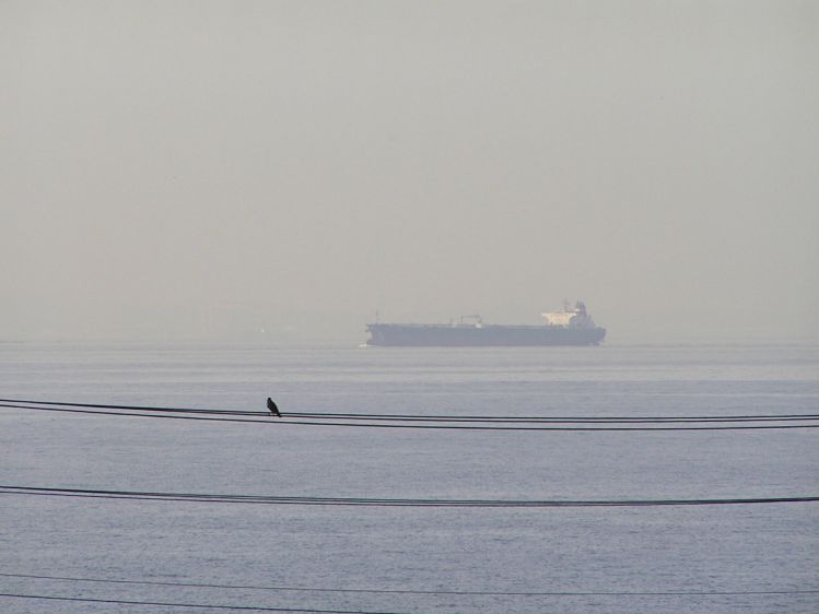 《能看见海的车站》千叶篇:浜金谷站、竹冈站、和田浦站 《能看见海的车站》千叶篇:浜金谷站、竹冈站、和田浦站