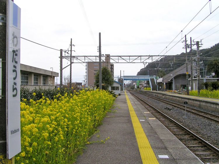 《能看见海的车站》千叶篇:浜金谷站、竹冈站、和田浦站 《能看见海的车站》千叶篇:浜金谷站、竹冈站、和田浦站
