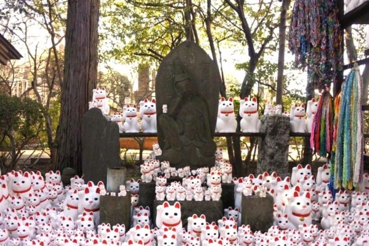 探访日本寺庙和神社中的动物，狐狸、牛、猴子等都是神圣的象征