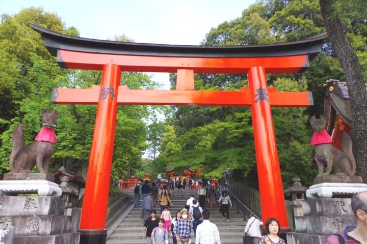 探访日本寺庙和神社中的动物，狐狸、牛、猴子等都是神圣的象征