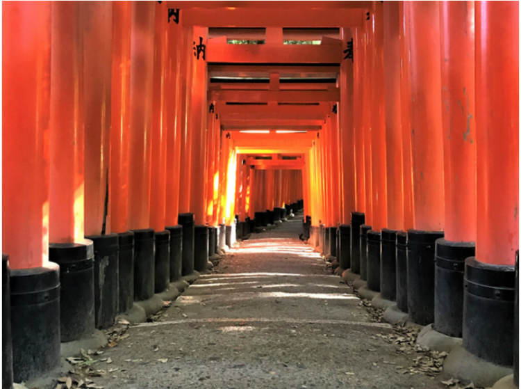 深入了解日本文化——神社、大社、神宫、宫的区别