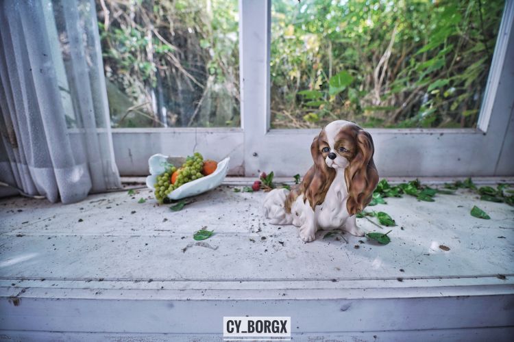 「废墟探索」废弃日本富翁宅邸 「废墟探索」废弃日本富翁宅邸