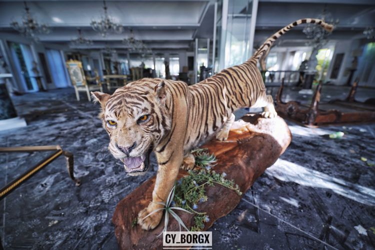 「废墟探索」废弃日本富翁宅邸 「废墟探索」废弃日本富翁宅邸