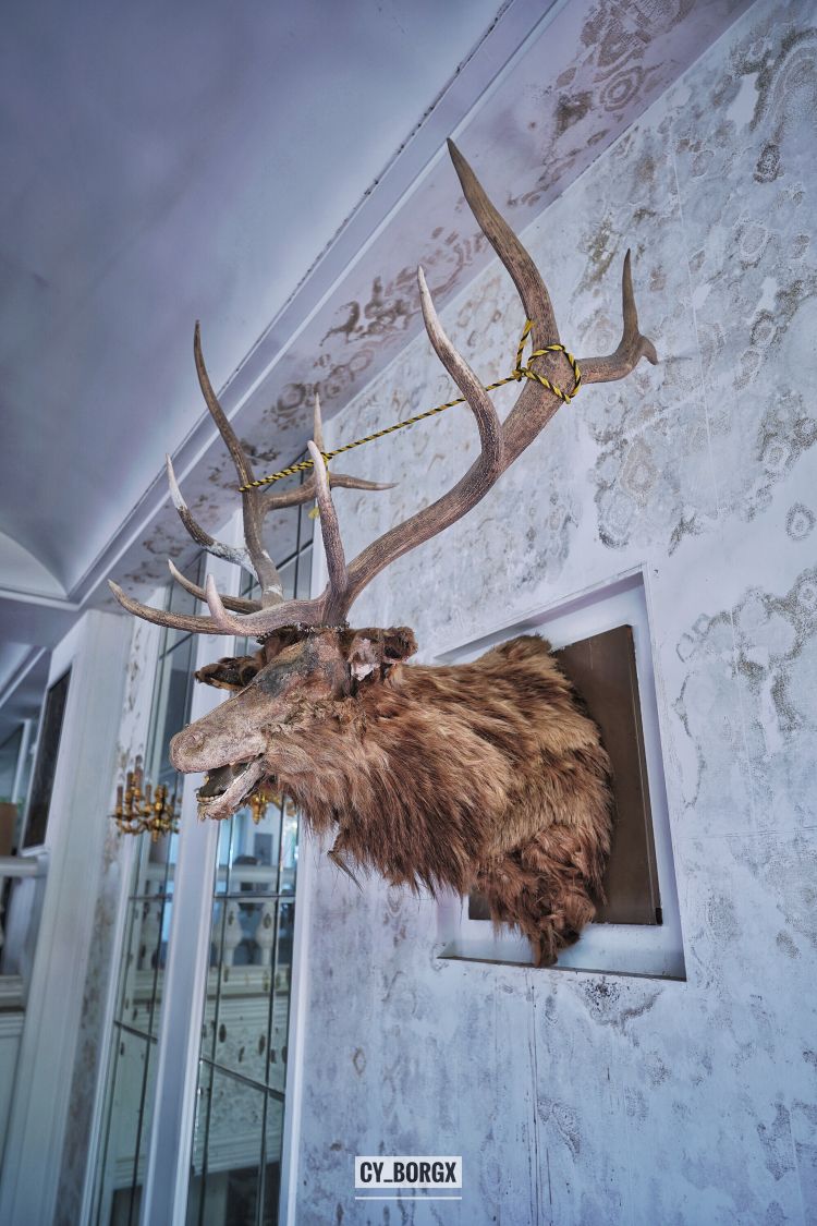 「废墟探索」废弃日本富翁宅邸 「废墟探索」废弃日本富翁宅邸