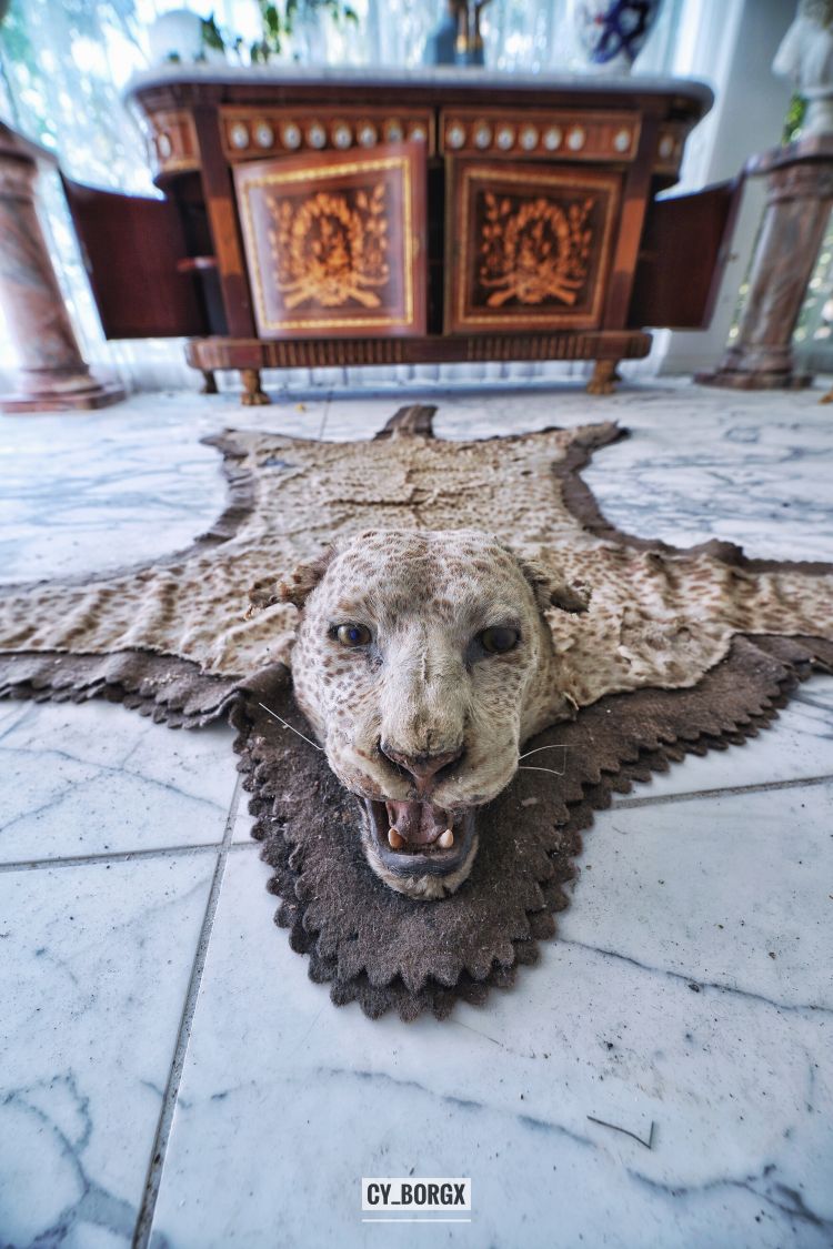 「废墟探索」废弃日本富翁宅邸 「废墟探索」废弃日本富翁宅邸