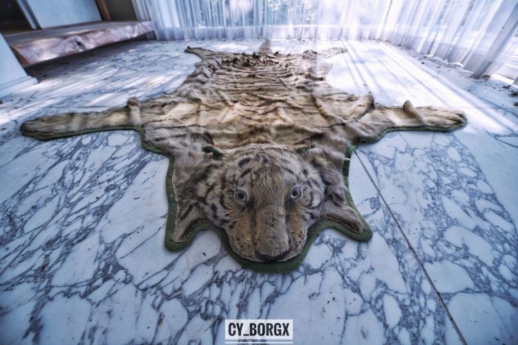 「废墟探索」废弃日本富翁宅邸 「废墟探索」废弃日本富翁宅邸