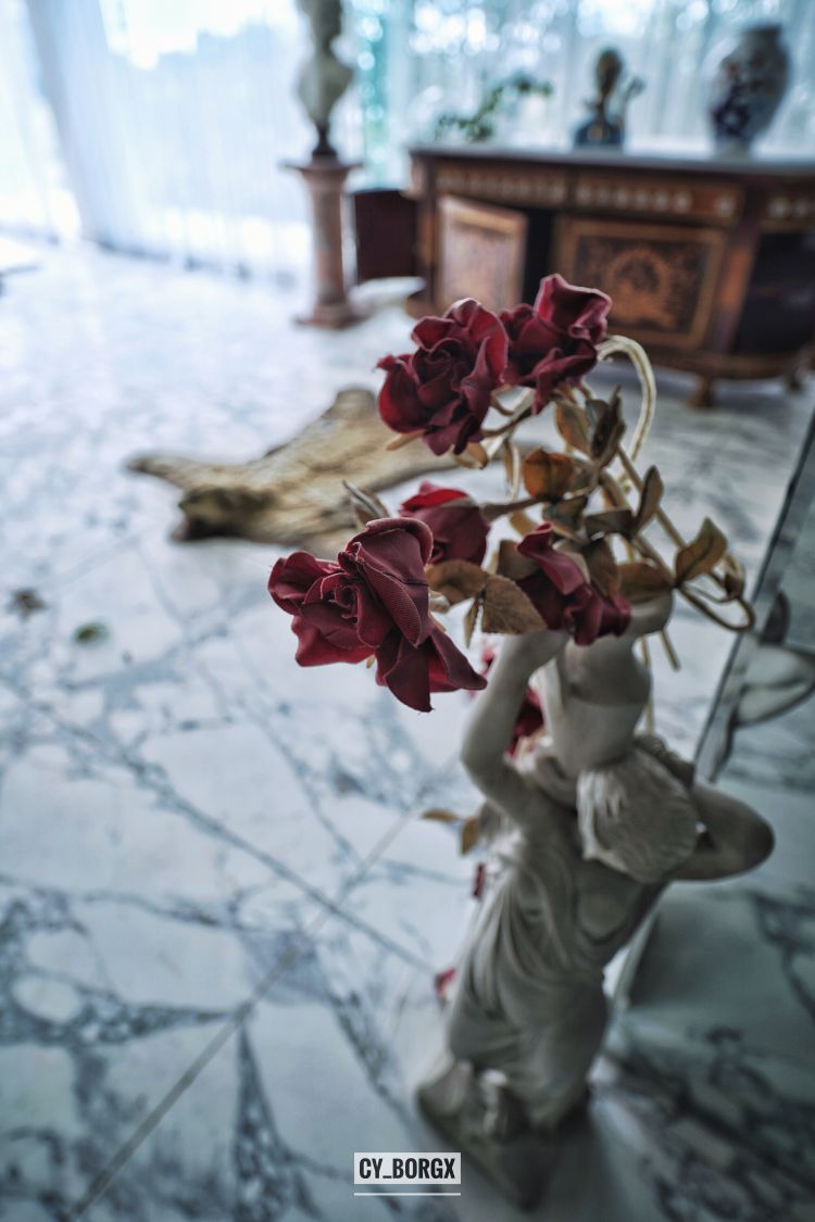 「废墟探索」废弃日本富翁宅邸 「废墟探索」废弃日本富翁宅邸