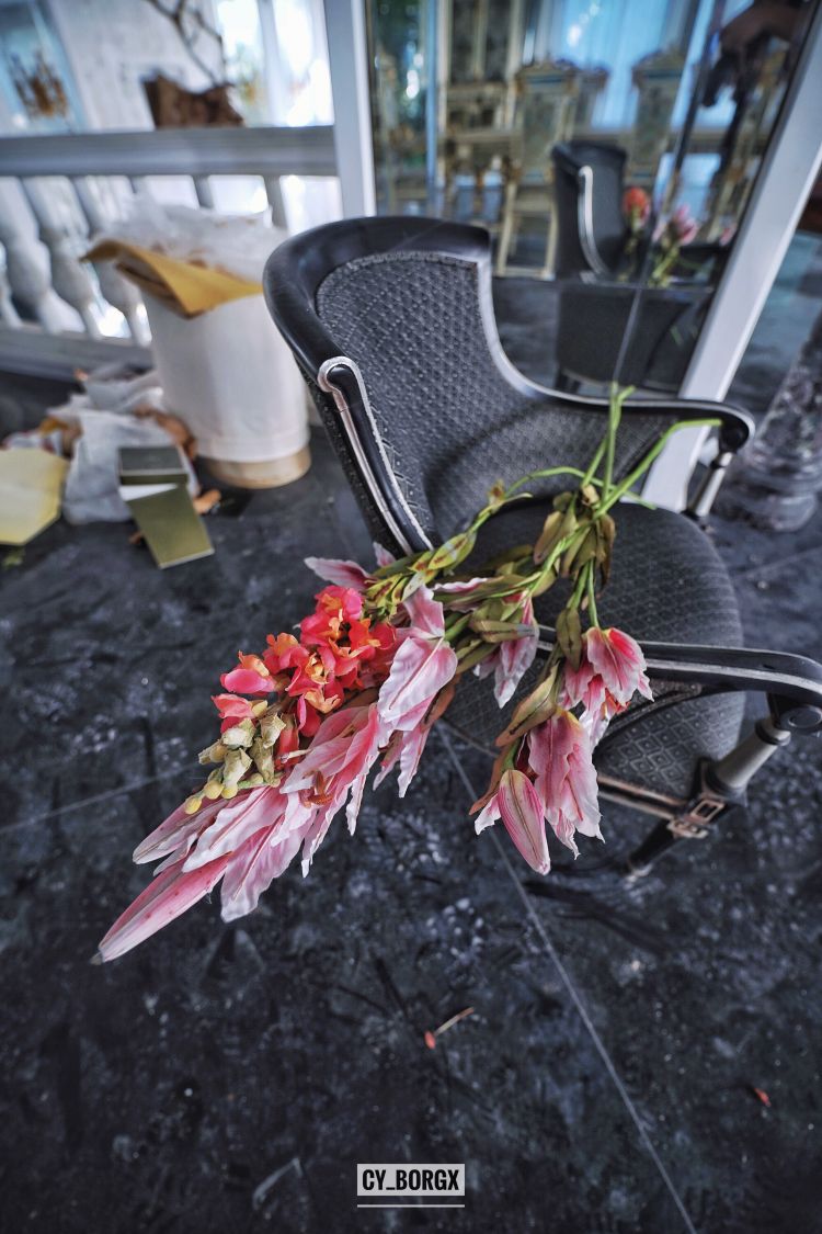 「废墟探索」废弃日本富翁宅邸 「废墟探索」废弃日本富翁宅邸