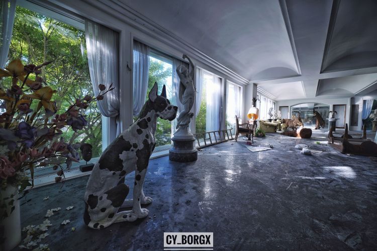 「废墟探索」废弃日本富翁宅邸 「废墟探索」废弃日本富翁宅邸