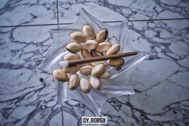 「废墟探索」废弃日本富翁宅邸 「废墟探索」废弃日本富翁宅邸