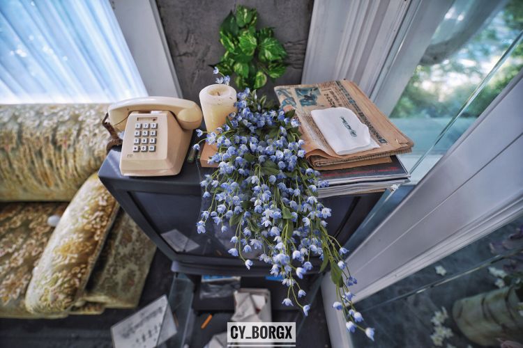 「废墟探索」废弃日本富翁宅邸 「废墟探索」废弃日本富翁宅邸