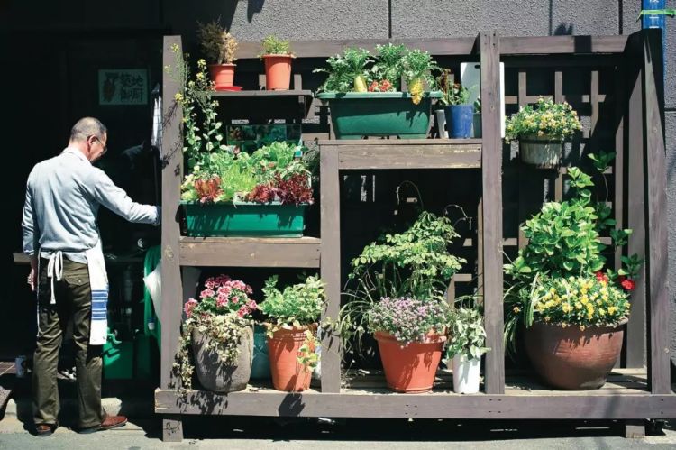 这位日本蔬菜店老板，用三十年时间开了这样一间“蔬菜教室”