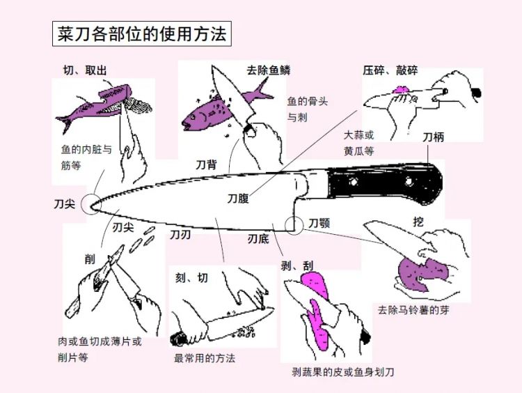 1500个做饭秘诀，从没下过厨的人也能一看就会