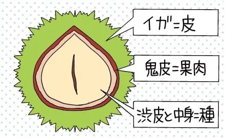 日本人的秋天限定美食，怎样最好吃？