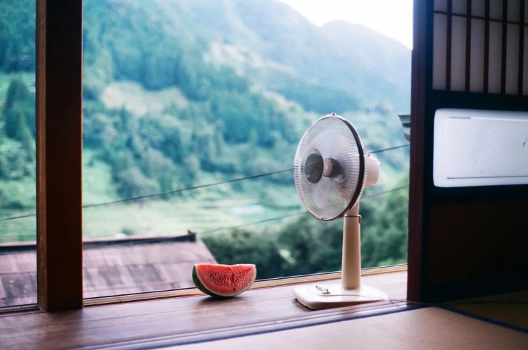 邻居的宠物去世，日本人会怎么做？