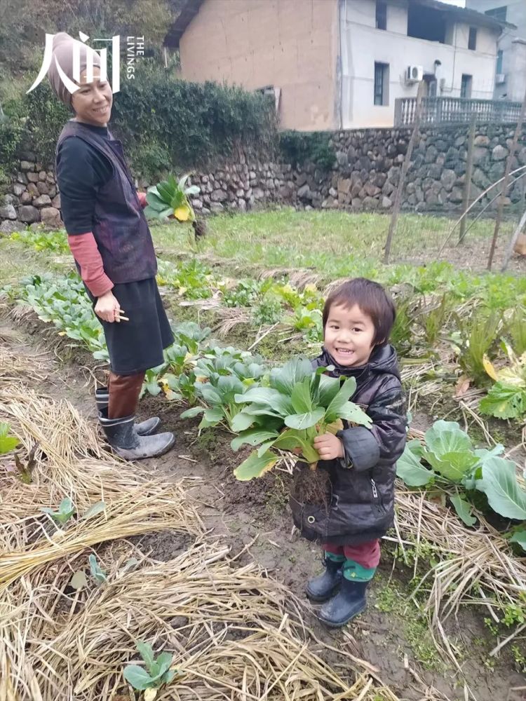 在中国种地的日本嬉皮