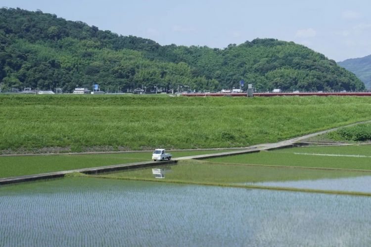 “第六波”疫情中的日本