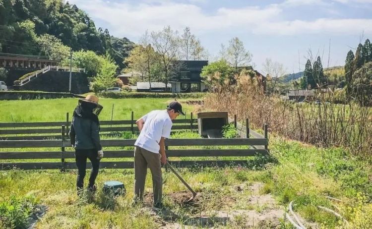 日本三胎家庭住进深山10年，买地仅9万人民币，独享广阔山林