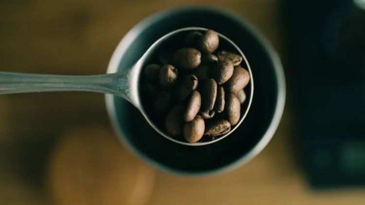 第134期:日本首相儿子被炒鱿鱼;小室圭真子夫妇5月最新街拍|百通板 第134期:日本首相儿子被炒鱿鱼;小室圭真子夫妇5月最新街拍|百通板