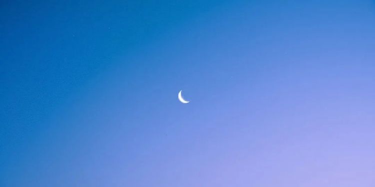 第134期:日本首相儿子被炒鱿鱼;小室圭真子夫妇5月最新街拍|百通板 第134期:日本首相儿子被炒鱿鱼;小室圭真子夫妇5月最新街拍|百通板