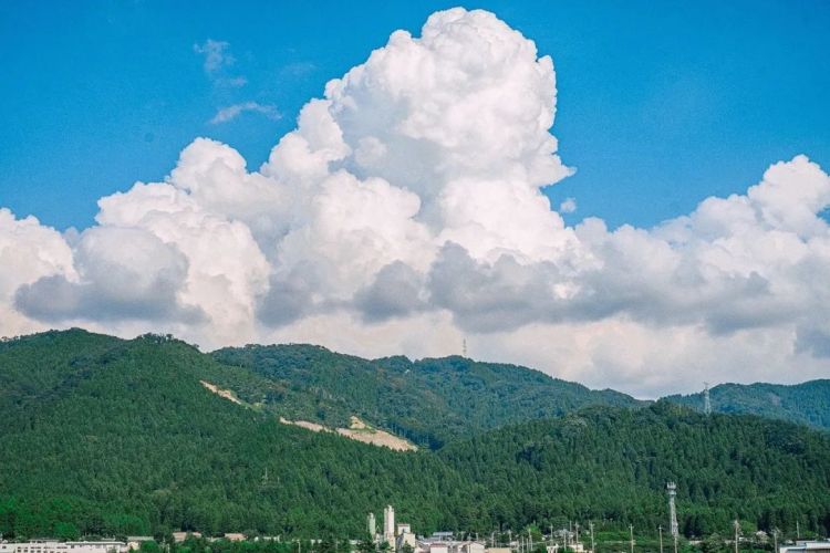 第134期:日本首相儿子被炒鱿鱼;小室圭真子夫妇5月最新街拍|百通板 第134期:日本首相儿子被炒鱿鱼;小室圭真子夫妇5月最新街拍|百通板