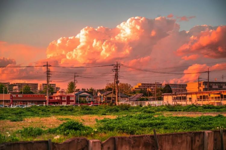 第134期:日本首相儿子被炒鱿鱼;小室圭真子夫妇5月最新街拍|百通板 第134期:日本首相儿子被炒鱿鱼;小室圭真子夫妇5月最新街拍|百通板