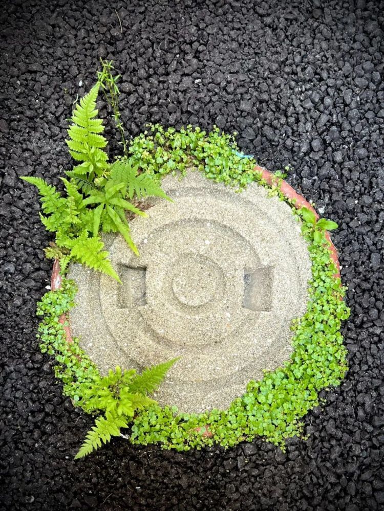 第134期:日本首相儿子被炒鱿鱼;小室圭真子夫妇5月最新街拍|百通板 第134期:日本首相儿子被炒鱿鱼;小室圭真子夫妇5月最新街拍|百通板