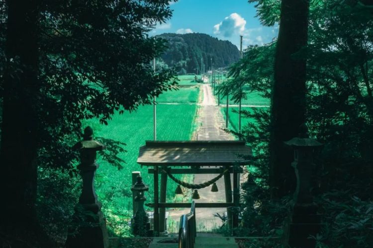 第134期:日本首相儿子被炒鱿鱼;小室圭真子夫妇5月最新街拍|百通板 第134期:日本首相儿子被炒鱿鱼;小室圭真子夫妇5月最新街拍|百通板