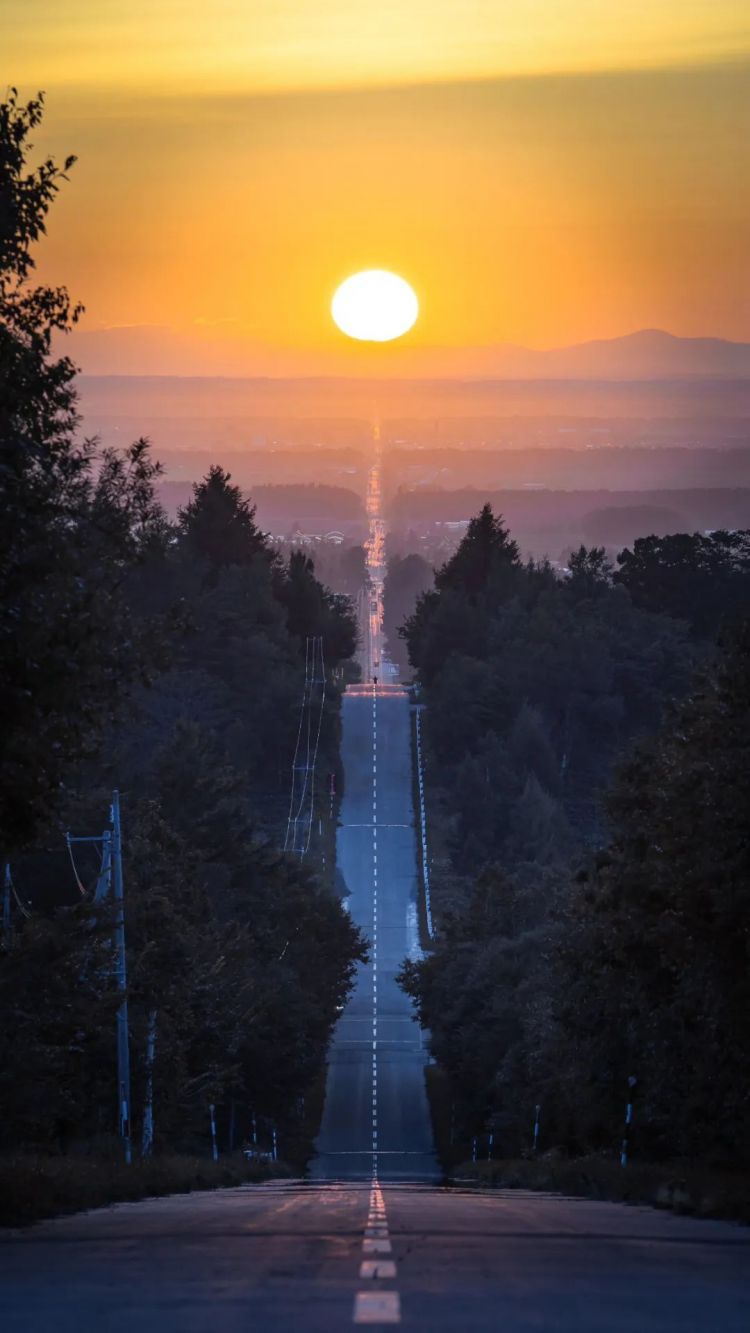 第134期:日本首相儿子被炒鱿鱼;小室圭真子夫妇5月最新街拍|百通板 第134期:日本首相儿子被炒鱿鱼;小室圭真子夫妇5月最新街拍|百通板