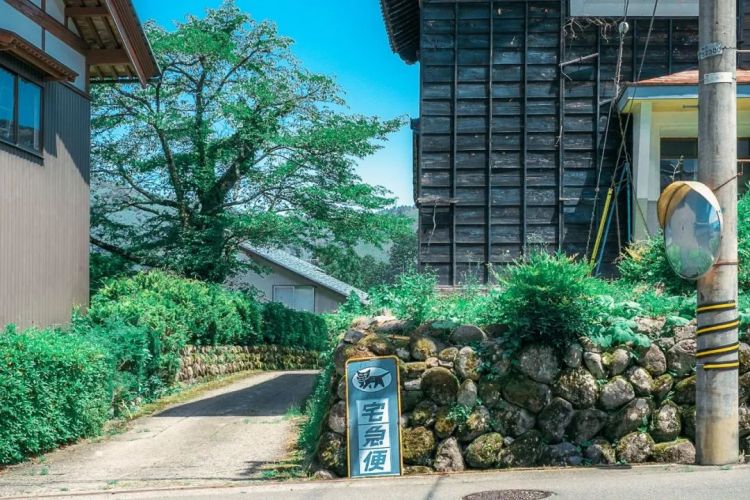 第134期:日本首相儿子被炒鱿鱼;小室圭真子夫妇5月最新街拍|百通板 第134期:日本首相儿子被炒鱿鱼;小室圭真子夫妇5月最新街拍|百通板